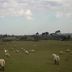 Normandy Couple Getaway With Garden 公寓