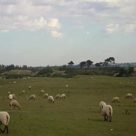 Normandy Couple Getaway With Garden Appartamento