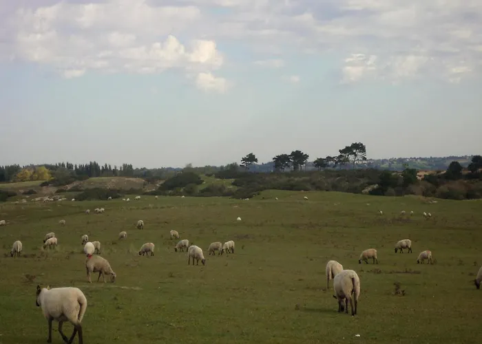 Normandy Couple Getaway With Garden Appartamento